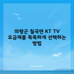 의령군 칠곡면 KT TV 요금제를 똑똑하게 선택하는 방법