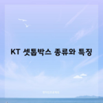 KT 셋톱박스 종류와 특징