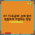 KT TV요금제: 손해 없이 알뜰하게 가입하는 방법