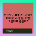 춘천시 근화동 KT 인터넷 베이직 vs 슬림, 어떤 요금제가 좋을까?