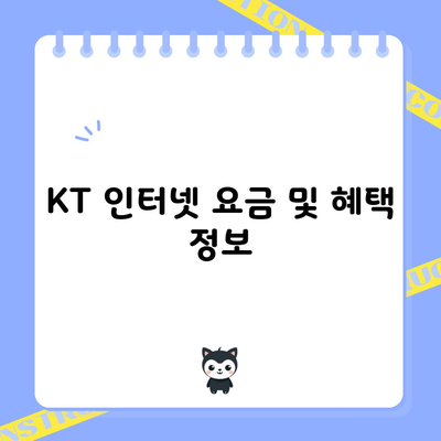 KT 인터넷 요금 및 혜택 정보