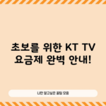 초보를 위한 KT TV 요금제 완벽 안내!