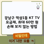 강남구 역삼1동 KT TV 요금제, 최대 60만 원 손해 보지 않는 방법