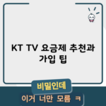 KT TV 요금제 추천과 가입 팁