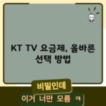 KT TV 요금제, 올바른 선택 방법