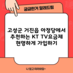 고성군 거진읍 아정당에서 추천하는 KT TV요금제 현명하게 가입하기