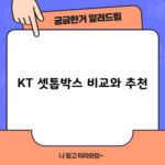 KT 셋톱박스 비교와 추천