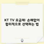 KT TV 요금제: 손해없이 합리적으로 선택하는 법