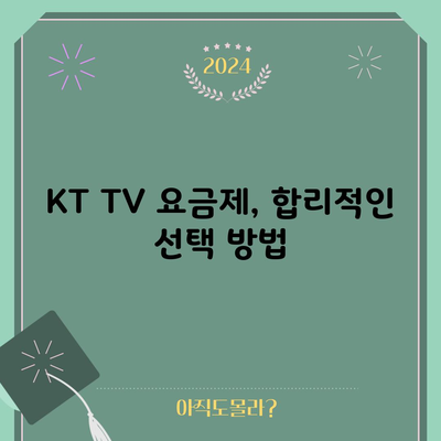 KT TV 요금제, 합리적인 선택 방법