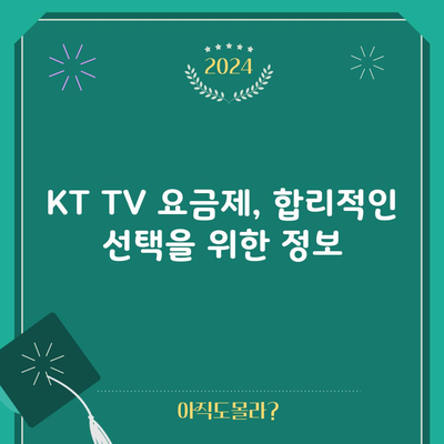 KT TV 요금제, 합리적인 선택을 위한 정보