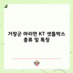 거창군 마리면 KT 셋톱박스 종류 및 특징