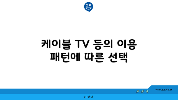 케이블 TV 등의 이용 패턴에 따른 선택