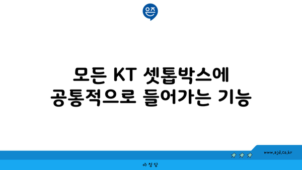 모든 KT 셋톱박스에 공통적으로 들어가는 기능