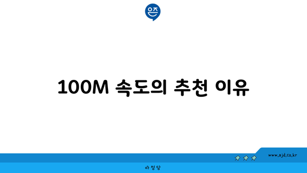 100M 속도의 추천 이유