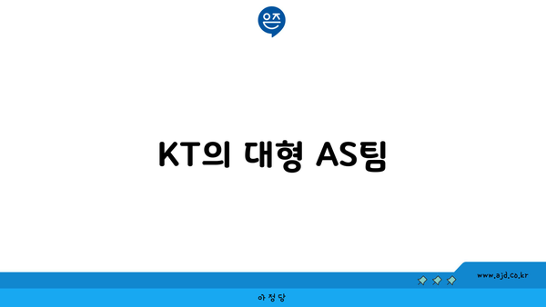 KT의 대형 AS팀