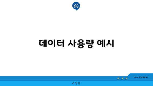 데이터 사용량 예시