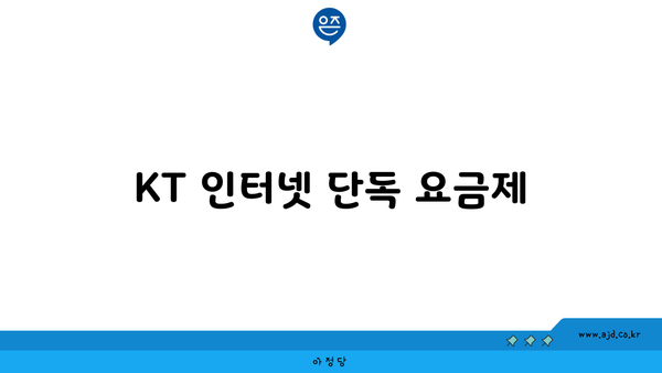 KT 인터넷 단독 요금제