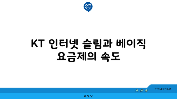 KT 인터넷 슬림과 베이직 요금제의 속도