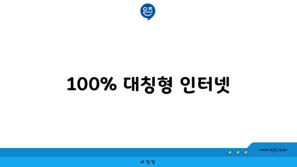 100% 대칭형 인터넷