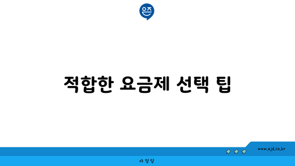 적합한 요금제 선택 팁