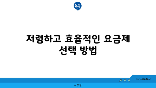 저렴하고 효율적인 요금제 선택 방법