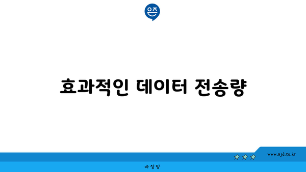 효과적인 데이터 전송량