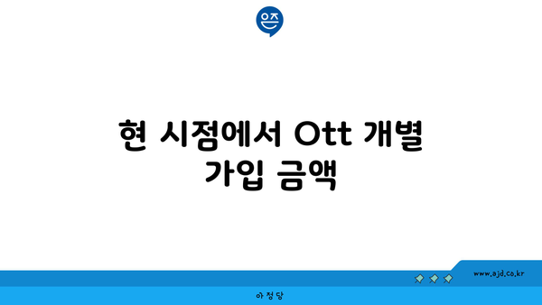 현 시점에서 Ott 개별 가입 금액