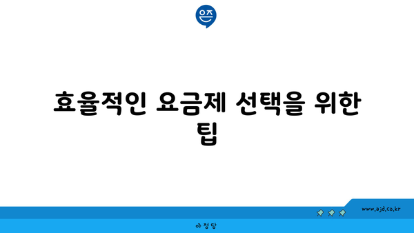 효율적인 요금제 선택을 위한 팁