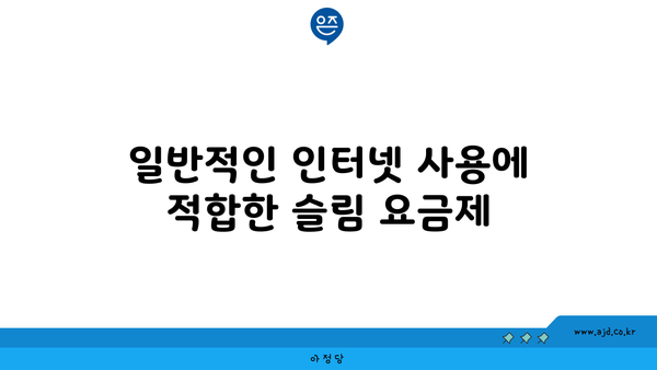 일반적인 인터넷 사용에 적합한 슬림 요금제