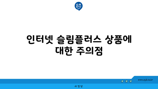 인터넷 슬림플러스 상품에 대한 주의점