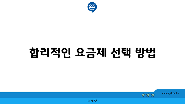 합리적인 요금제 선택 방법