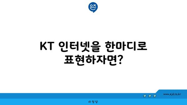 KT 인터넷을 한마디로 표현하자면?