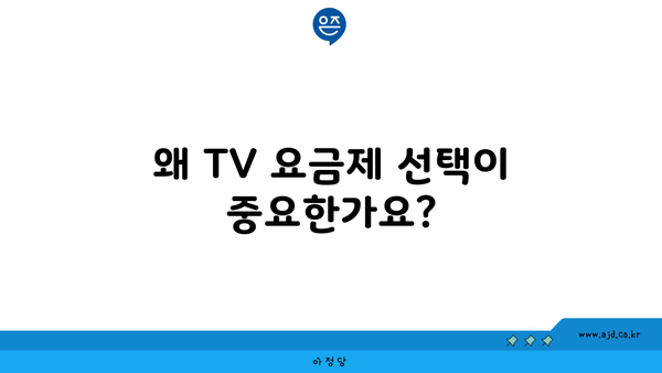 왜 TV 요금제 선택이 중요한가요?