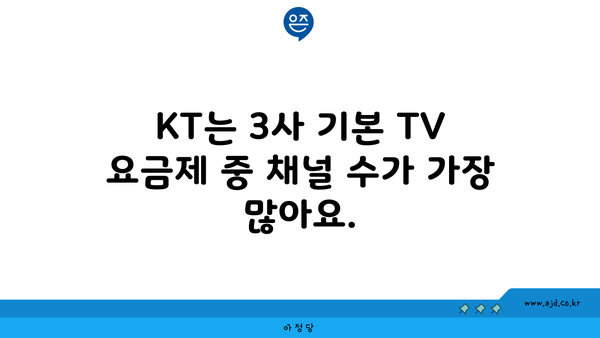 KT는 3사 기본 TV 요금제 중 채널 수가 가장 많아요.