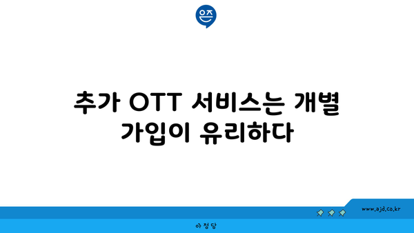 추가 OTT 서비스는 개별 가입이 유리하다