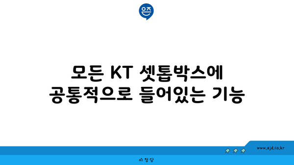 모든 KT 셋톱박스에 공통적으로 들어있는 기능