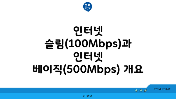 인터넷 슬림(100Mbps)과 인터넷 베이직(500Mbps) 개요