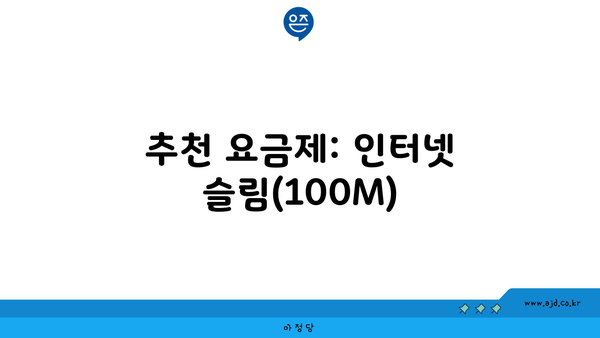 추천 요금제: 인터넷 슬림(100M)