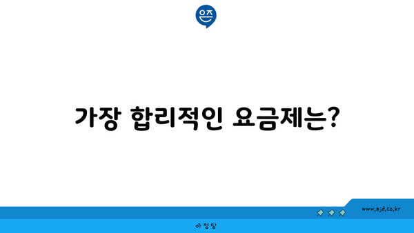 가장 합리적인 요금제는?