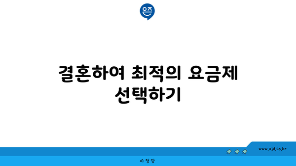 결혼하여 최적의 요금제 선택하기