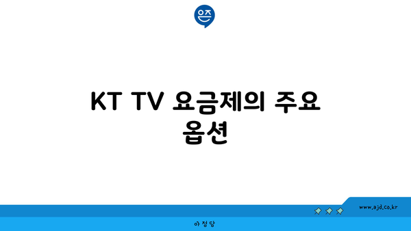 KT TV 요금제의 주요 옵션