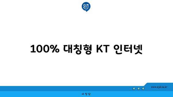 100% 대칭형 KT 인터넷