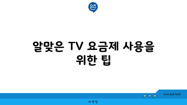 알맞은 TV 요금제 사용을 위한 팁