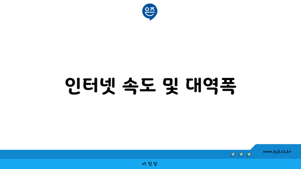 인터넷 속도 및 대역폭