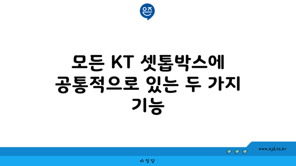 모든 KT 셋톱박스에 공통적으로 있는 두 가지 기능