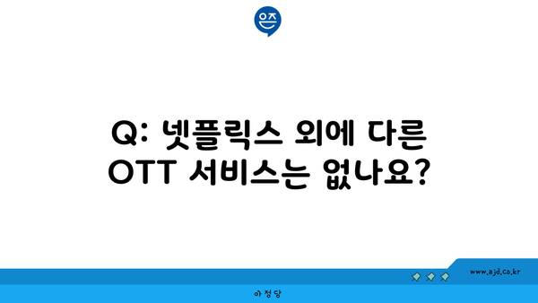 Q: 넷플릭스 외에 다른 OTT 서비스는 없나요?