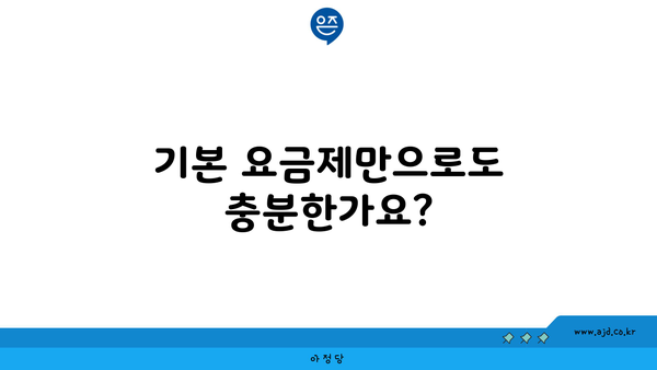 기본 요금제만으로도 충분한가요?