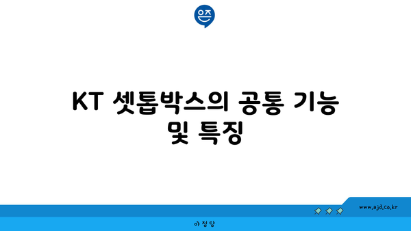 KT 셋톱박스의 공통 기능 및 특징