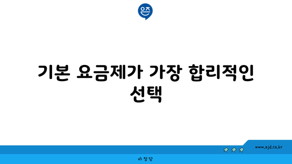 기본 요금제가 가장 합리적인 선택