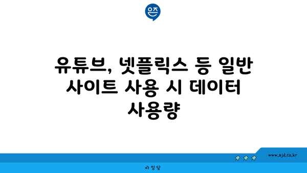 유튜브, 넷플릭스 등 일반 사이트 사용 시 데이터 사용량